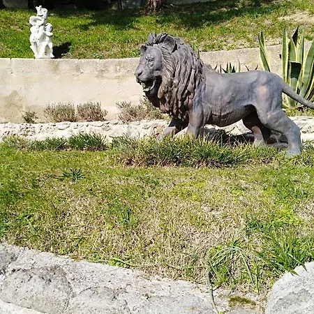 Nocleg ze śniadaniem Diana